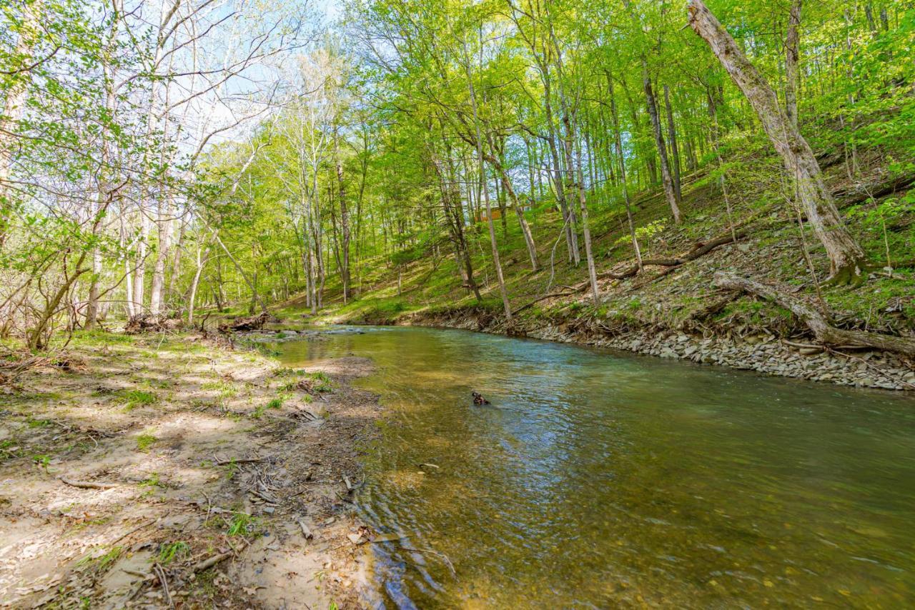 River Access Cabin With Hot Tub, Fire Pit, & Wifi! Morton Grove Εξωτερικό φωτογραφία